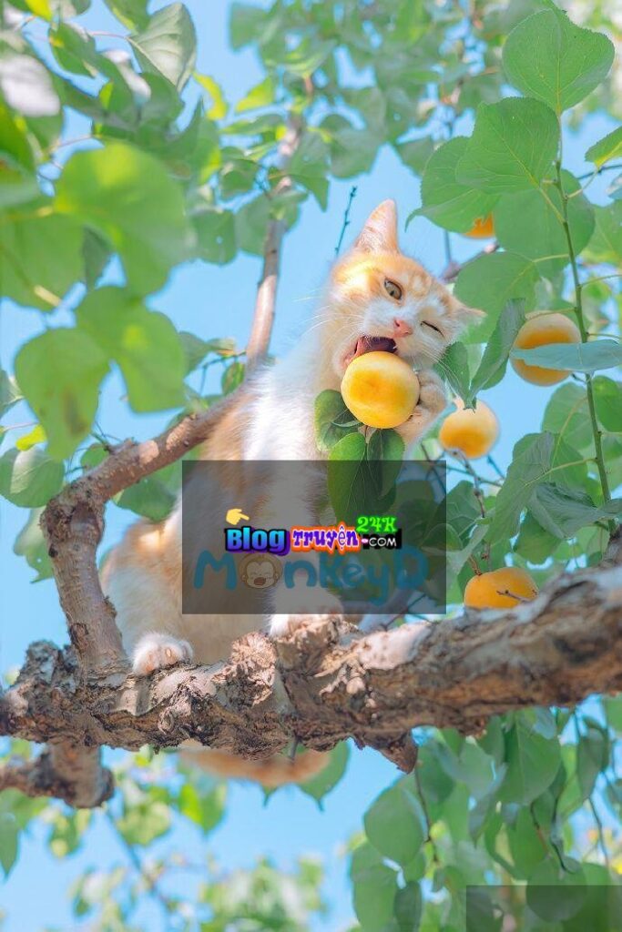 Bạn Cùng Phòng Cực Phẩm Của Tôi