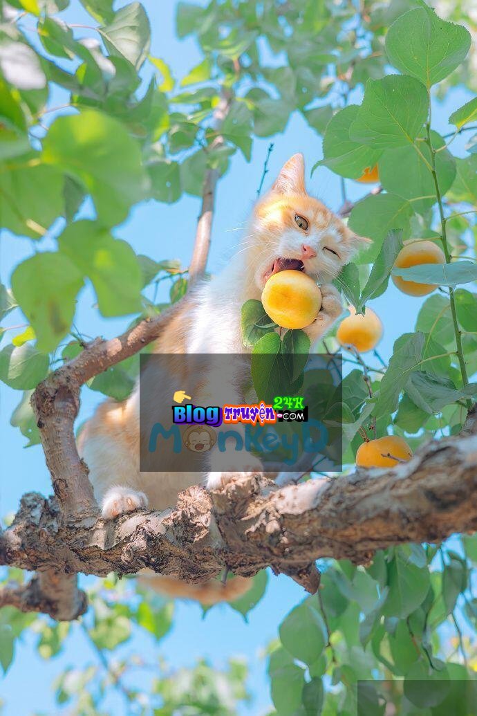 Bạn Cùng Phòng Cực Phẩm Của Tôi