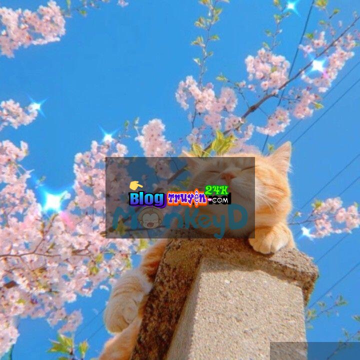 Bùn Đất Và Mây Trời