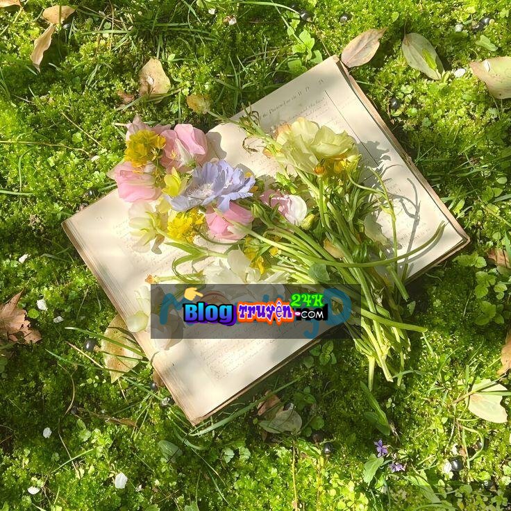 Cẩm Nang Phát Điên Trong Truyện Po