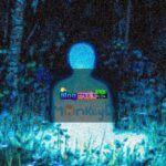 Cặp Đôi Mới Đến