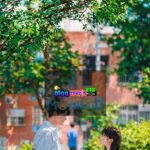 Chuyến đi đổi lấy một tình yêu