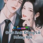 Đầu Anh Đúng Là Hỏng Rồi