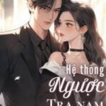 Hệ Thống Ngược Tra Nam
