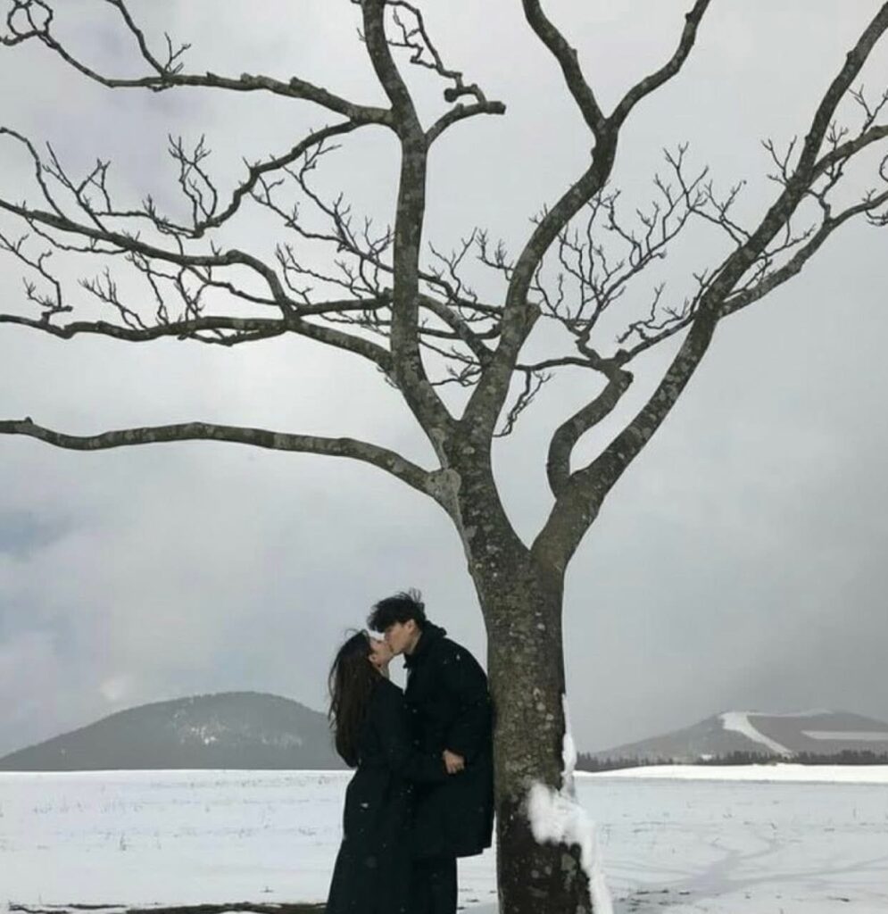 Chồng Vì Bạch Nguyệt Quang Bỏ Rơi Tôi Ở Sân Bay