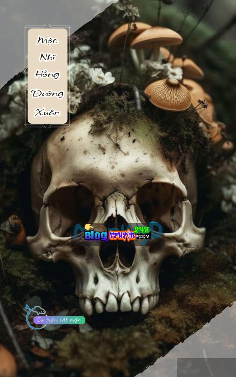 Mộc Nhĩ Hồng Dưỡng Xuân