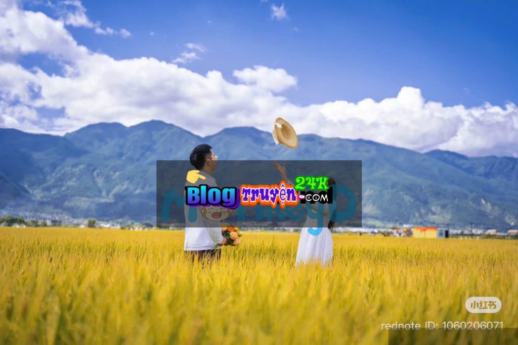 Mùa Lúa Chín Đợi Người Trở Về