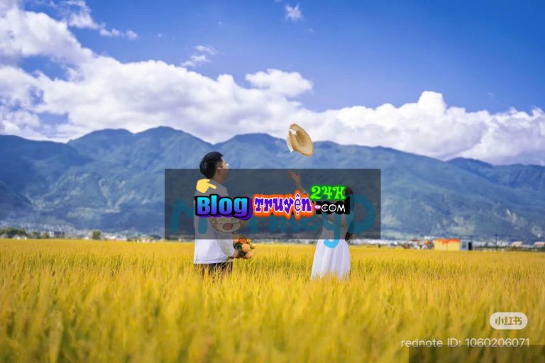 Mùa Lúa Chín Đợi Người Trở Về