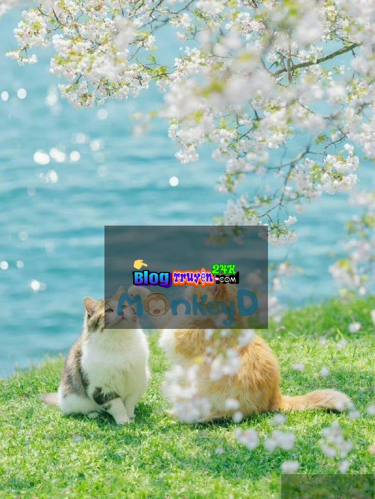 Nghe Thấy Tiếng Lòng Của Vị Thái Tử Gia Cấm Dục