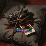 Người Mẫu Câm Lặng