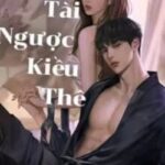 Tổng Tài Ngược Kiều Thê