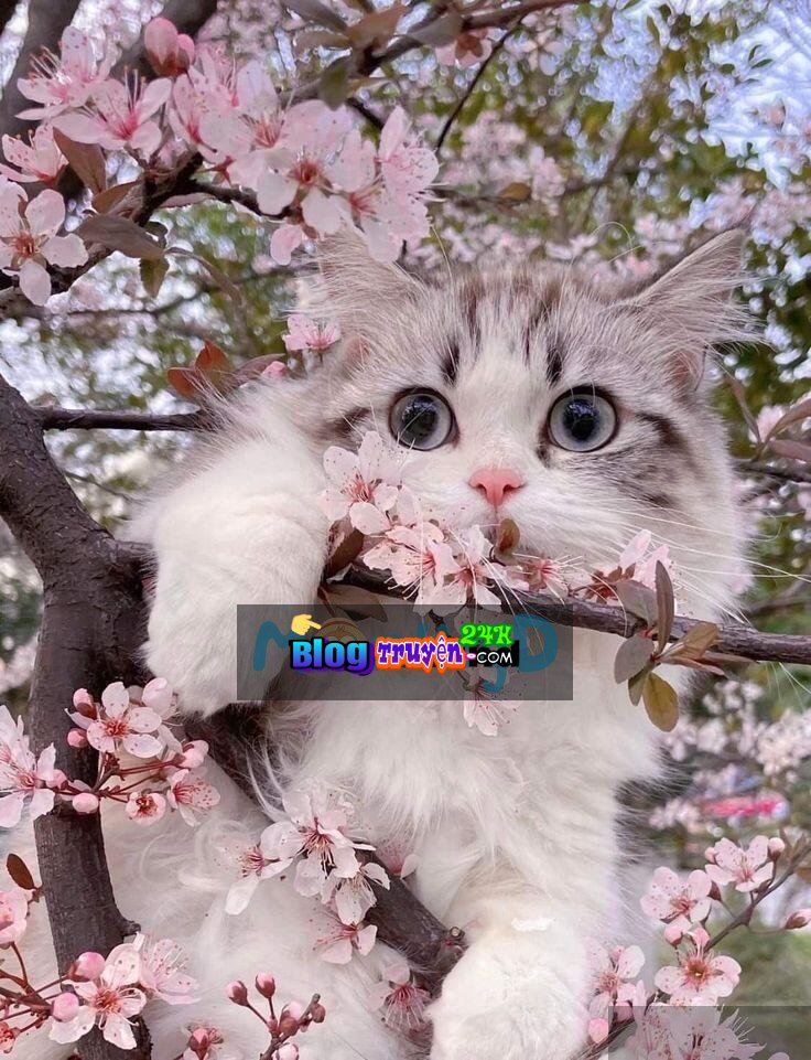 Xuyên Thành Nữ Phụ Ác Độc, Tôi Dựa Vào Lối Sống “Mặc Kệ Đời” Mà Đạt Được Kết Cục Đại Đoàn Viên HE