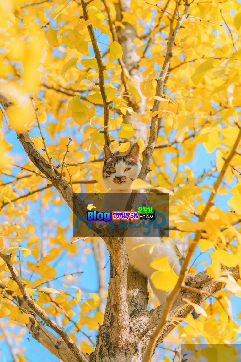 Xuyên Thành Nữ Phụ Đang Hạ Thuốc Nam Chính, Tôi Phải Làm Sao?