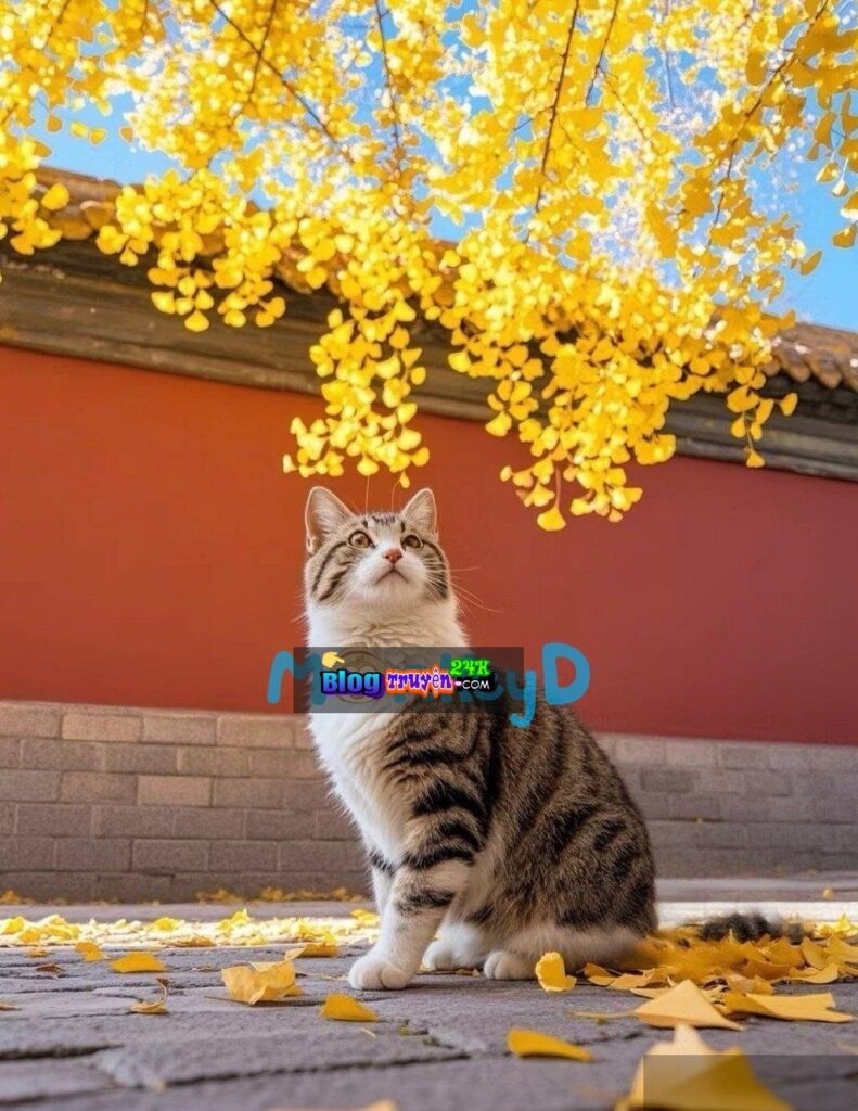 Xuyên Thành Vợ Hợp Đồng Của Nam Phụ Thâm Tình