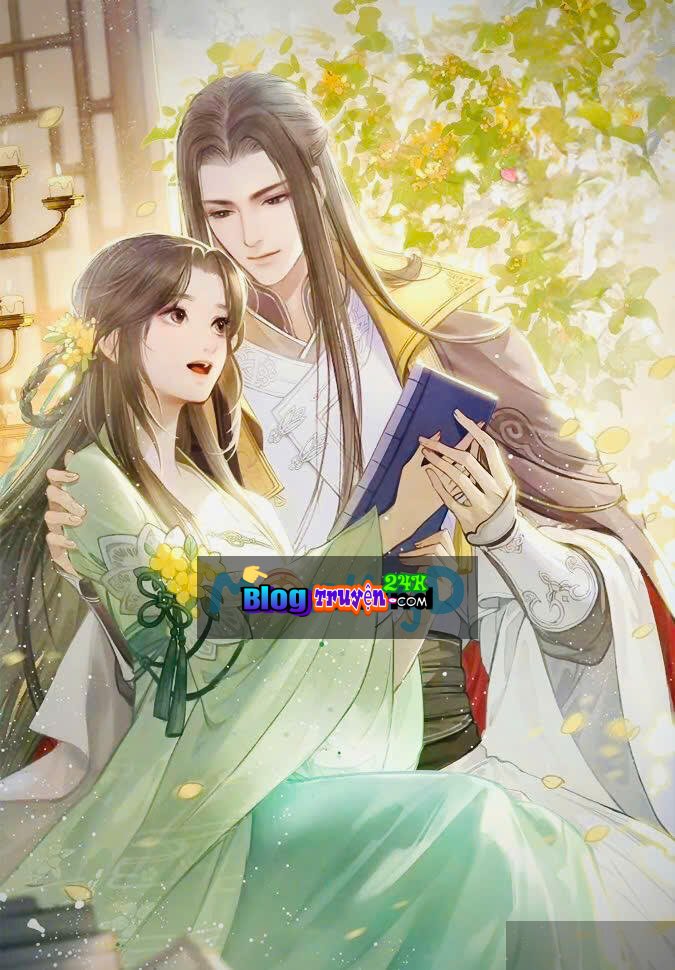 Yêu Phi Công Lược