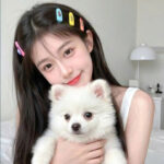 Công Chúa Thất Lạc Của Nhà Họ Tống